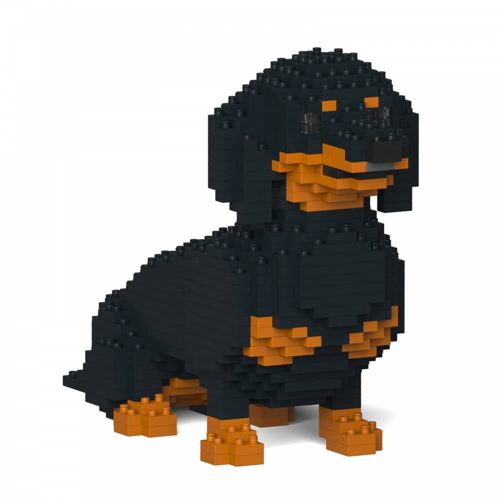 Dachshund