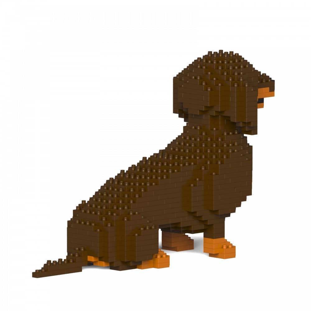 Dachshund