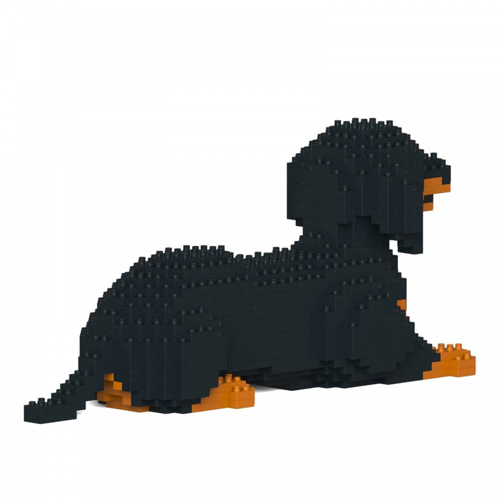 Dachshund
