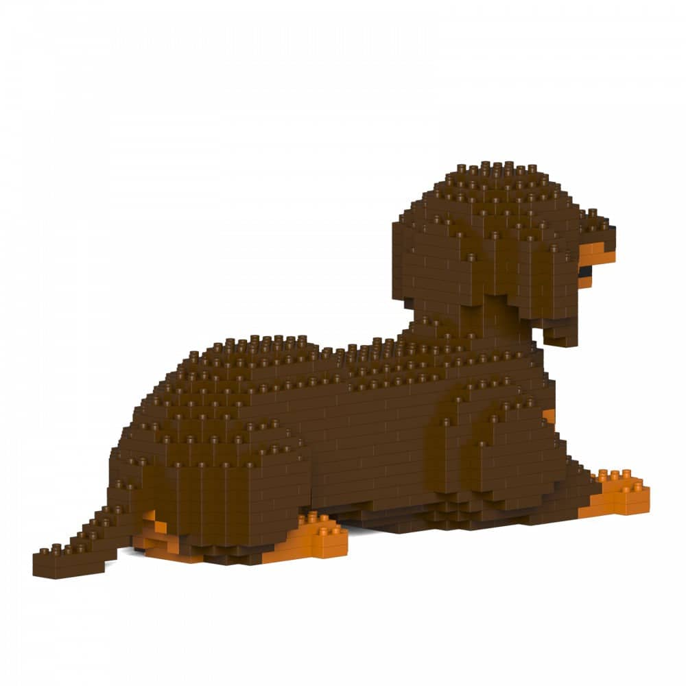 Dachshund
