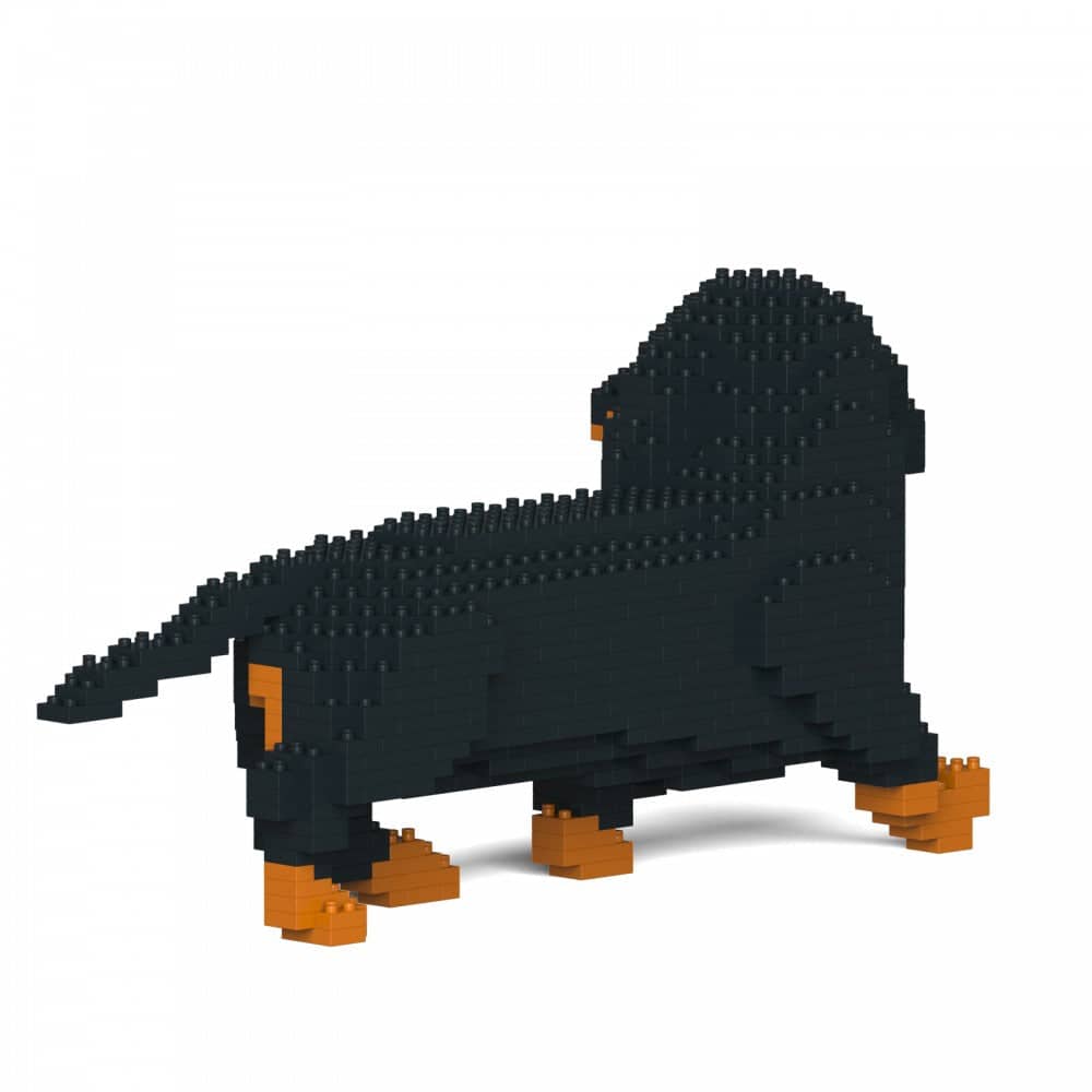 Dachshund
