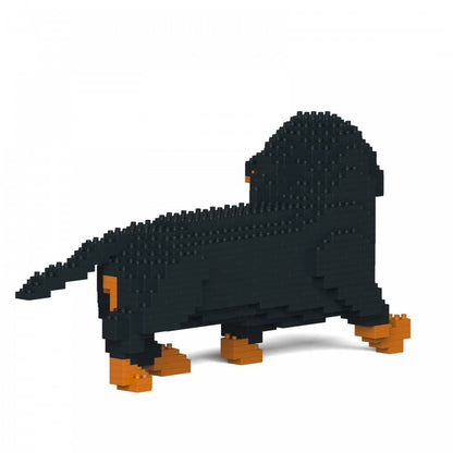 Dachshund