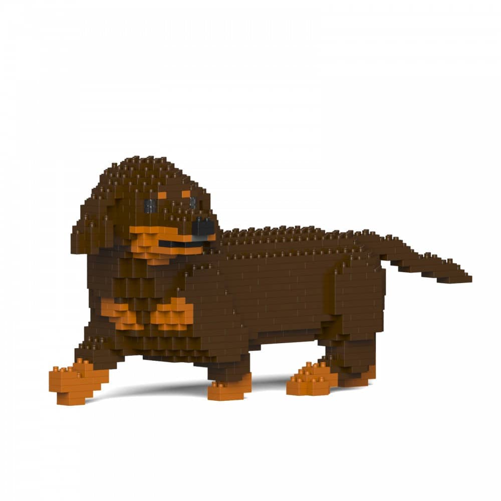 Dachshund