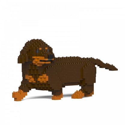 Dachshund