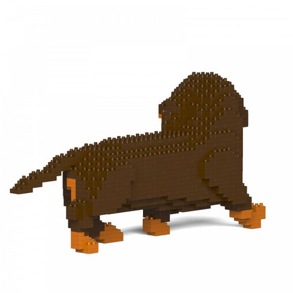 Dachshund