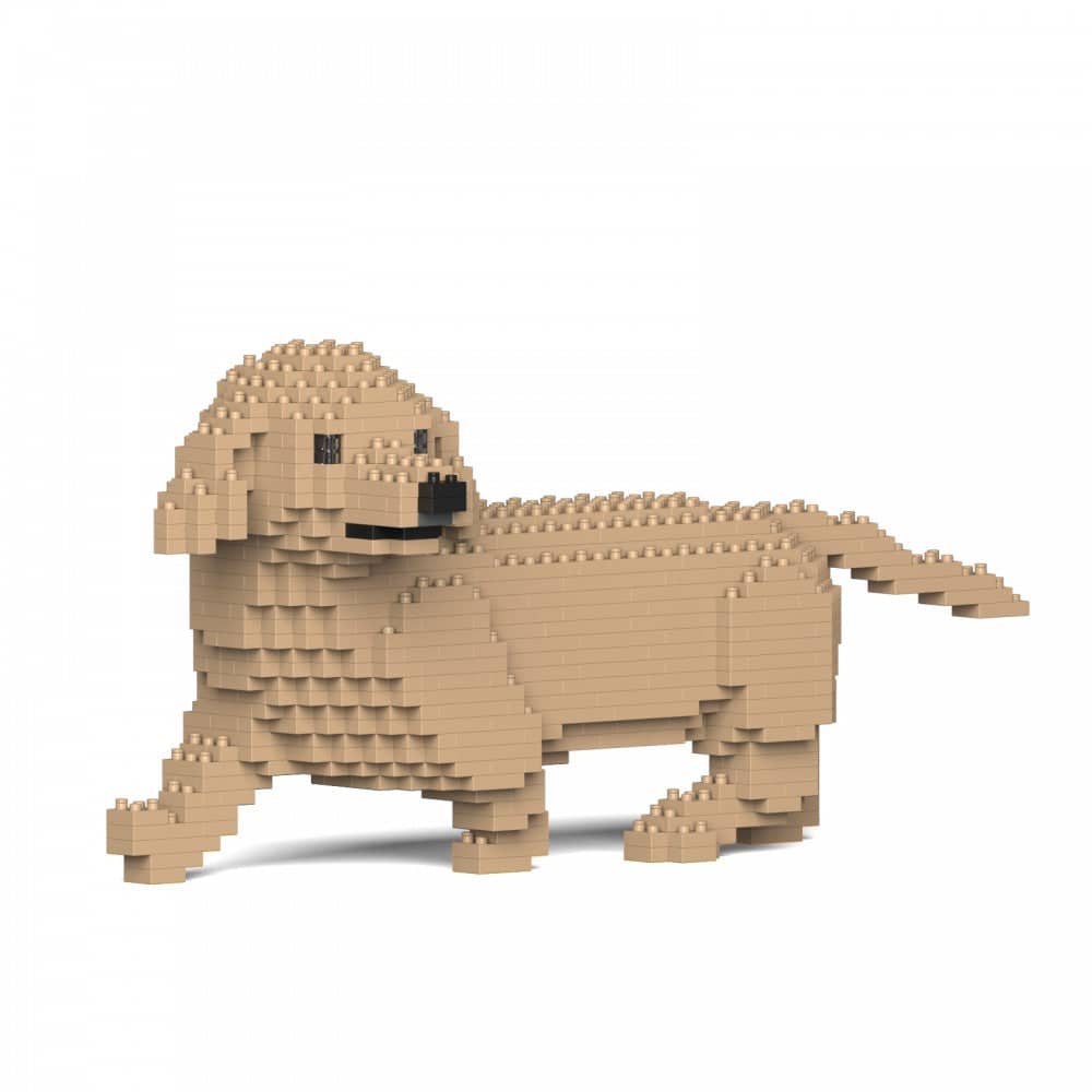 Dachshund