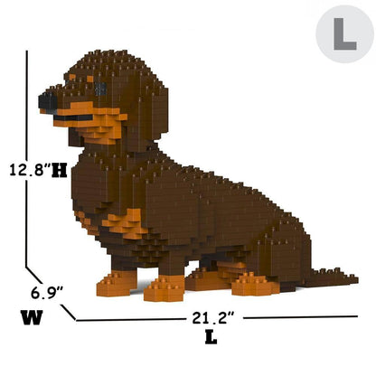 Dachshund