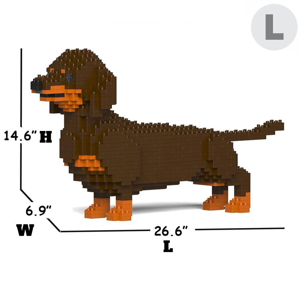 Dachshund
