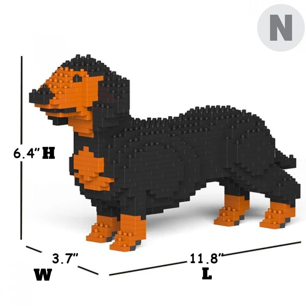 Dachshund