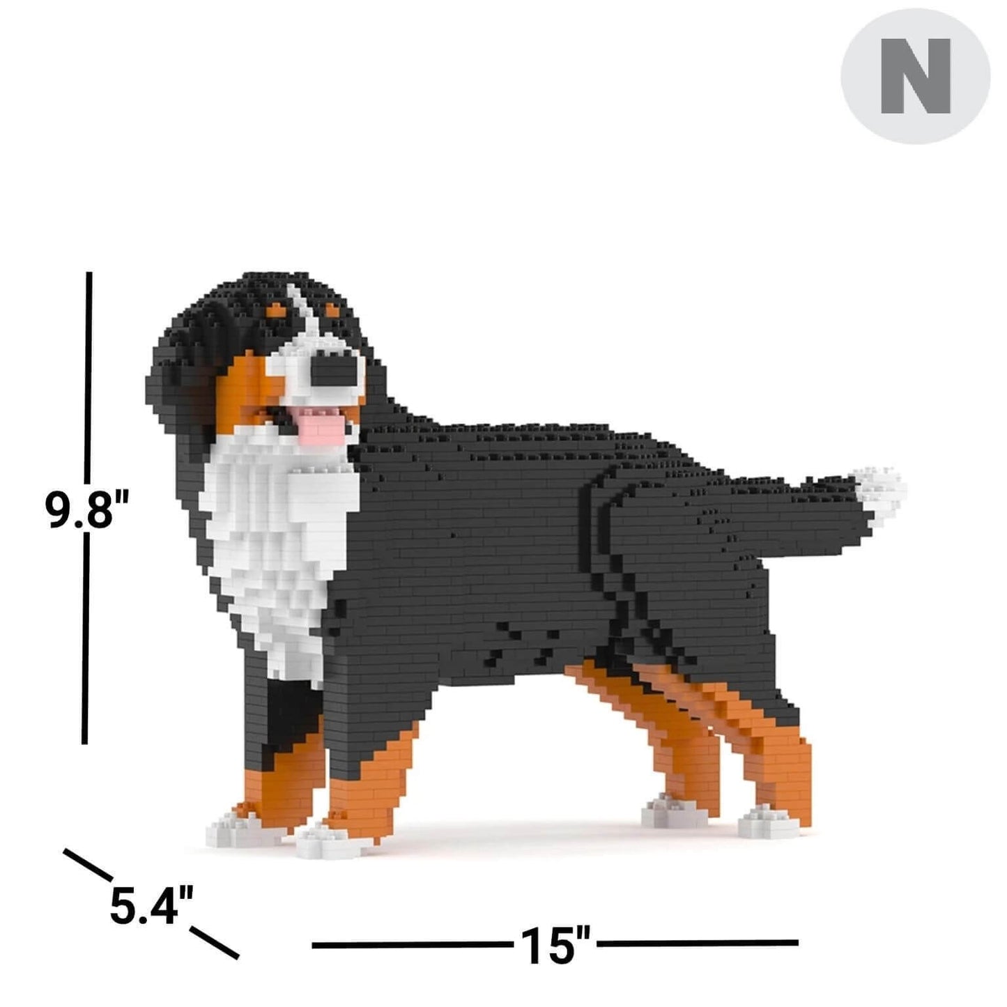 Bernese Mountain Dog