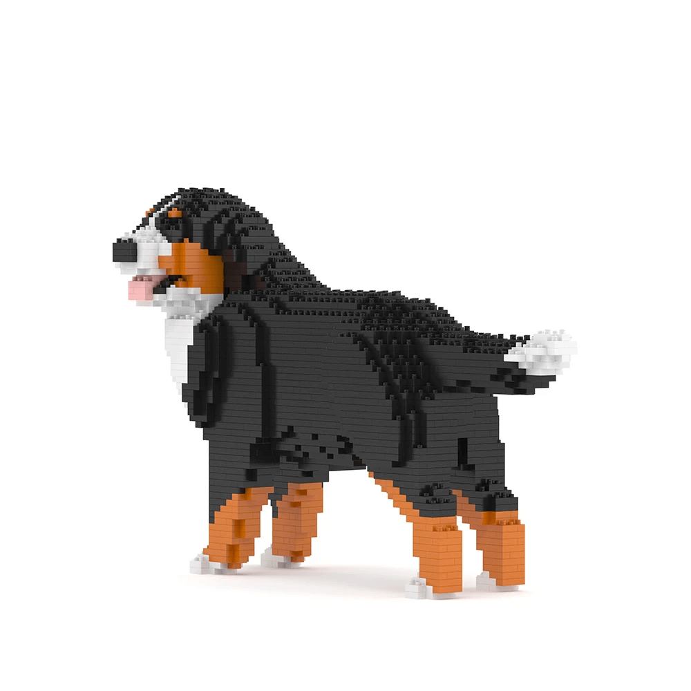 Bernese Mountain Dog
