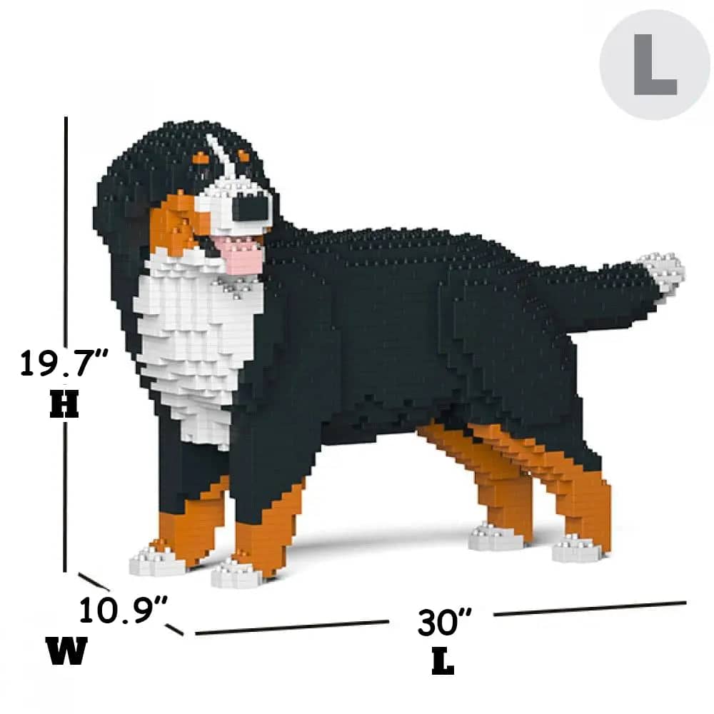 Bernese Mountain Dog