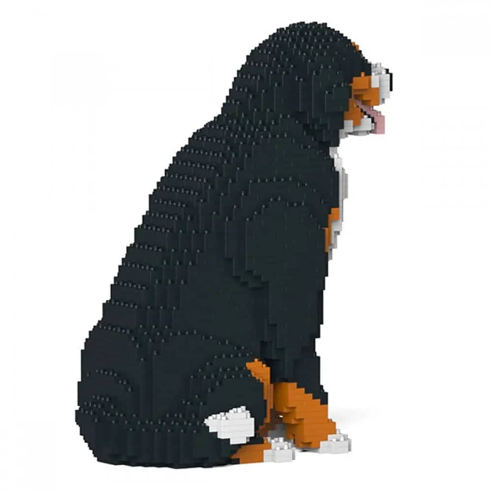 Bernese Mountain Dog