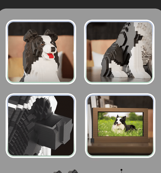 Border Collie (2025)