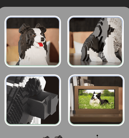 Border Collie (2025)