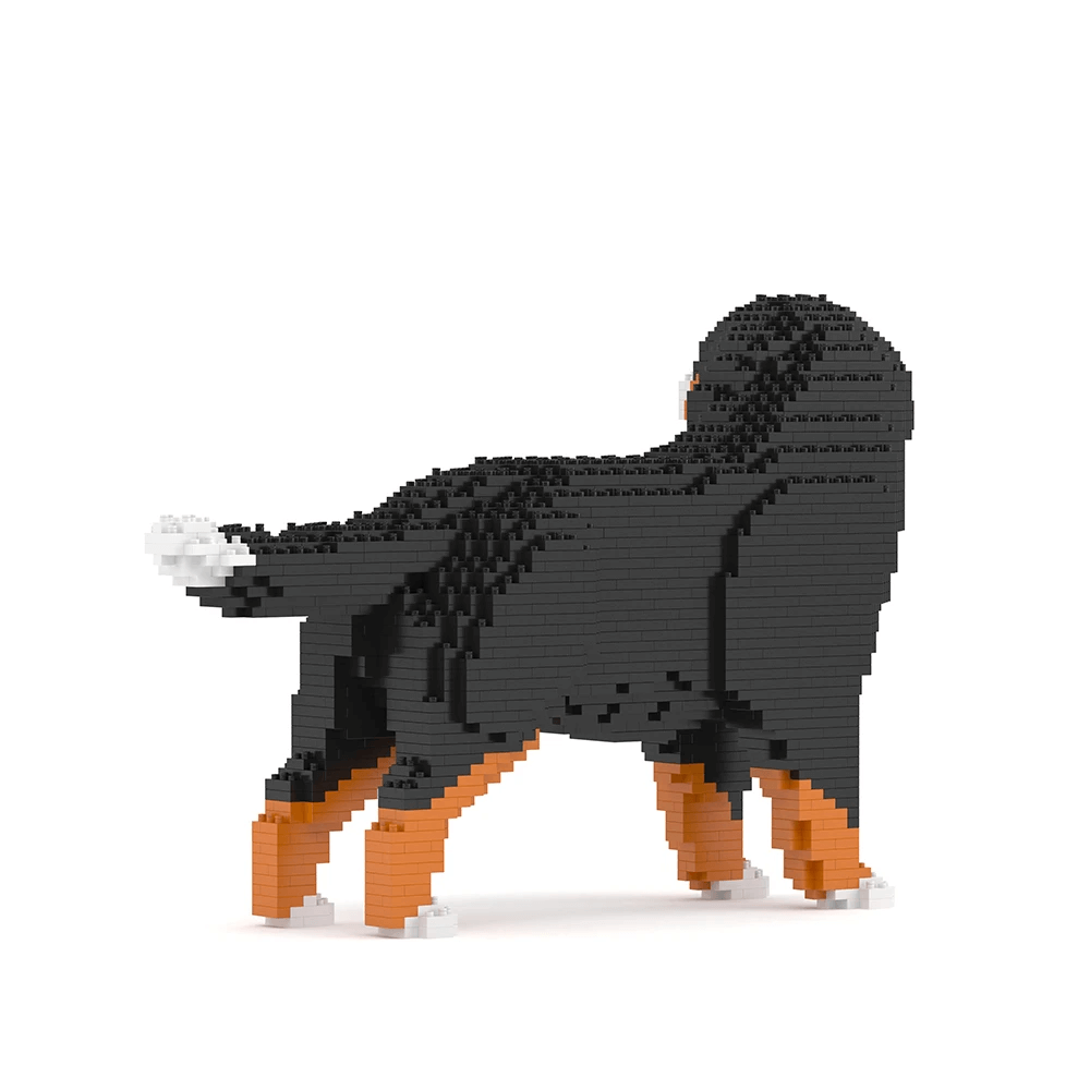 Bernese Mountain Dog