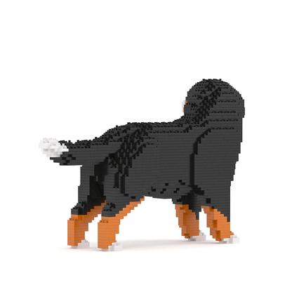 Bernese Mountain Dog