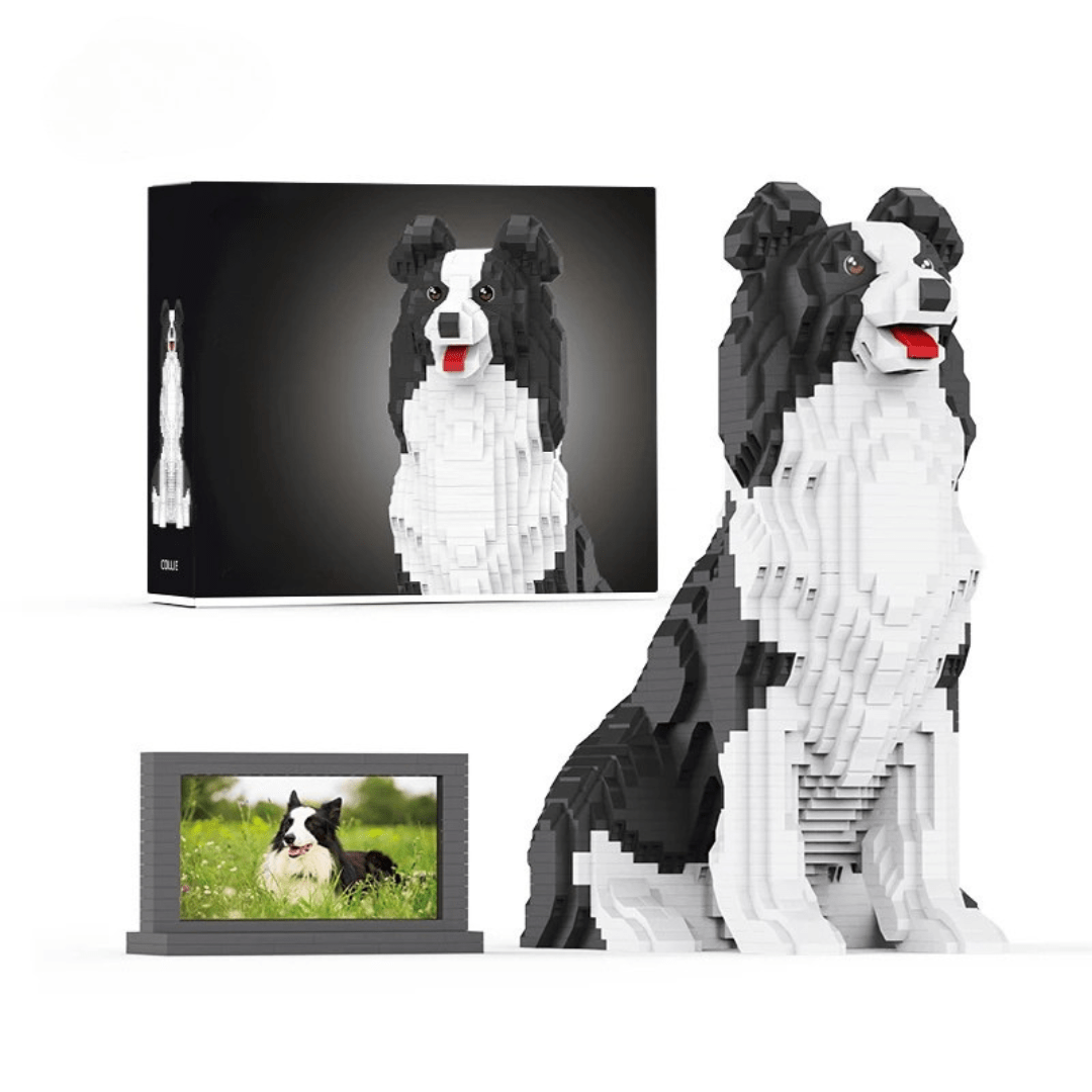 Border Collie (2025)