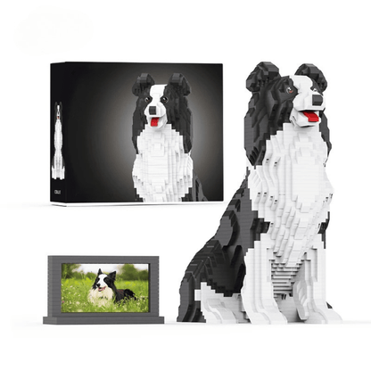 Border Collie (2025)