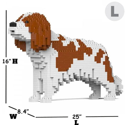 Cavalier King Charles Spaniel