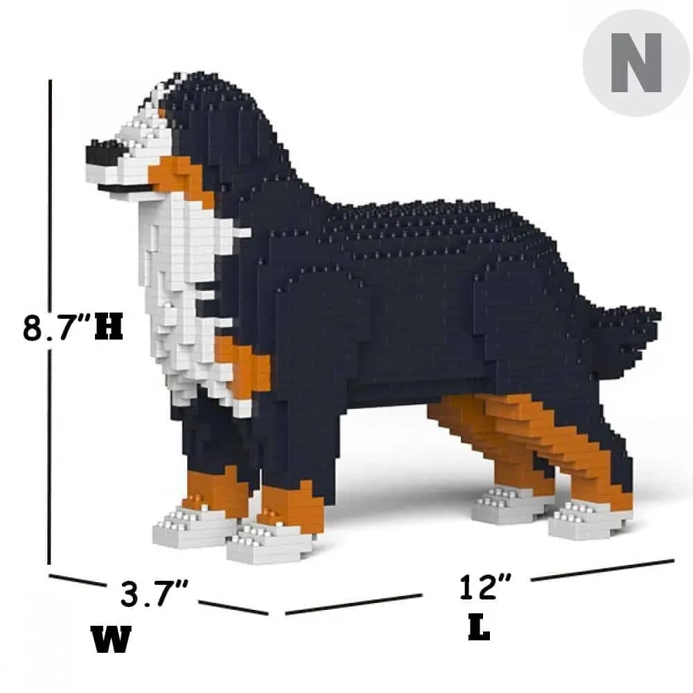Bernese Mountain Dog