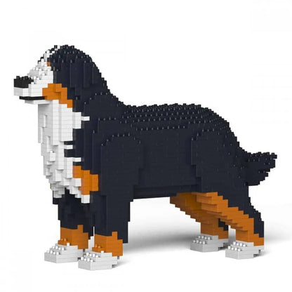 Bernese Mountain Dog