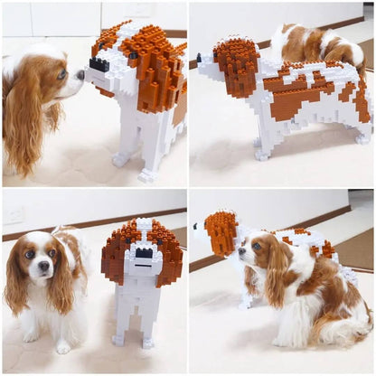 Cavalier King Charles Spaniel