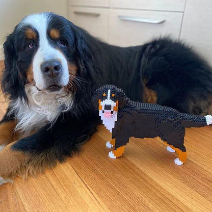 Bernese Mountain Dog