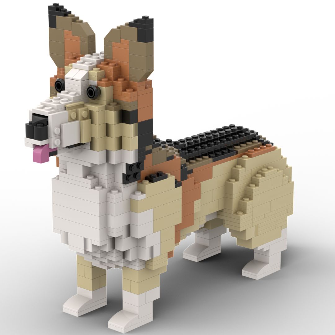 Custom Pet Kit
