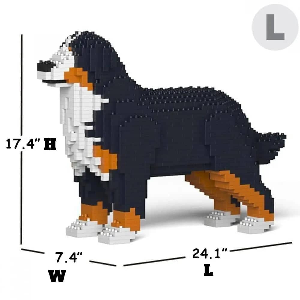 Bernese Mountain Dog