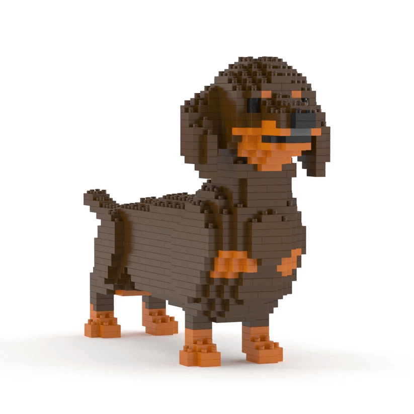 Dachshund