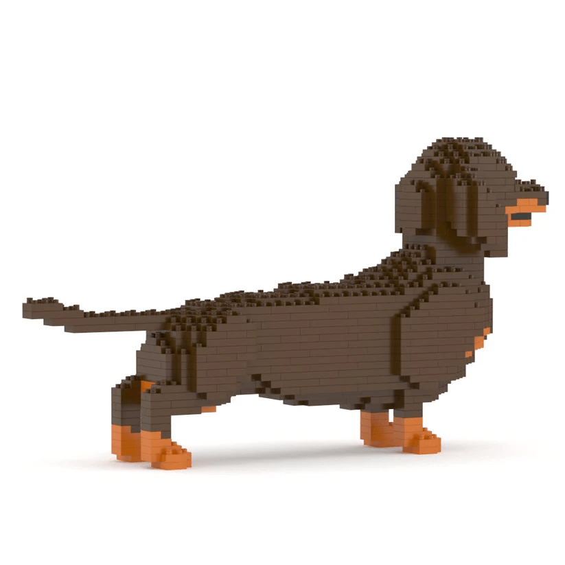 Dachshund