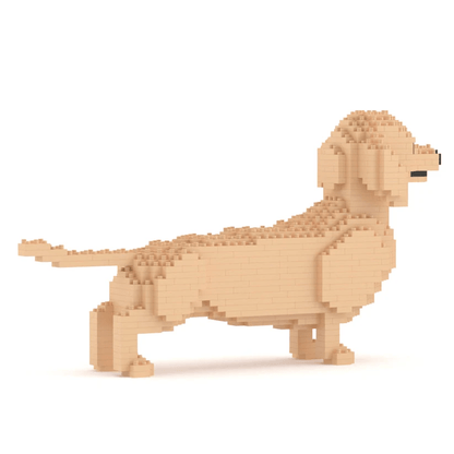 Dachshund