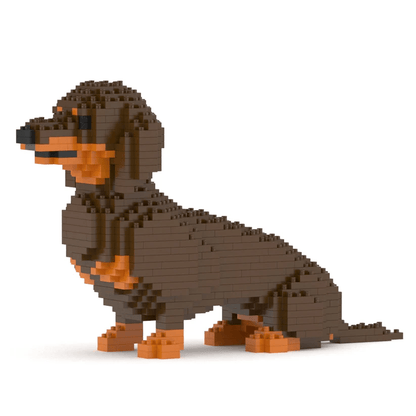 Dachshund