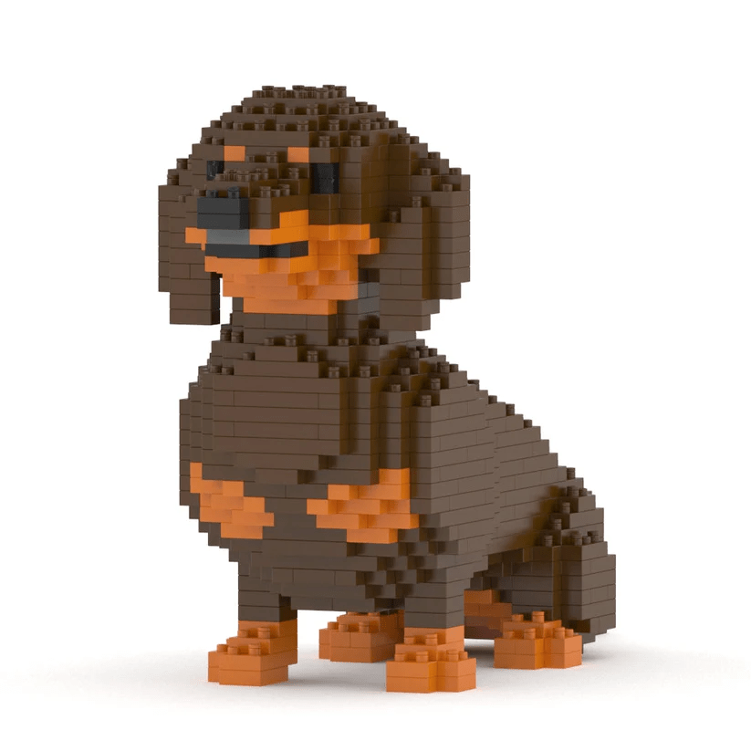 Dachshund