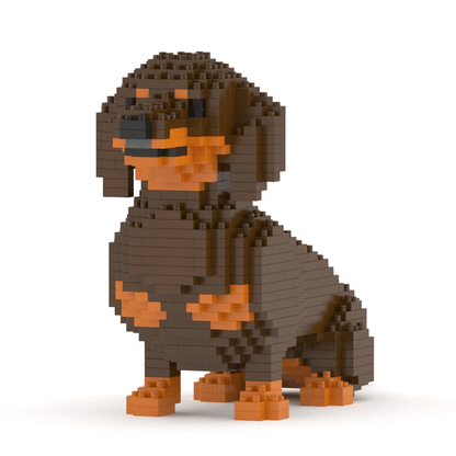 Dachshund