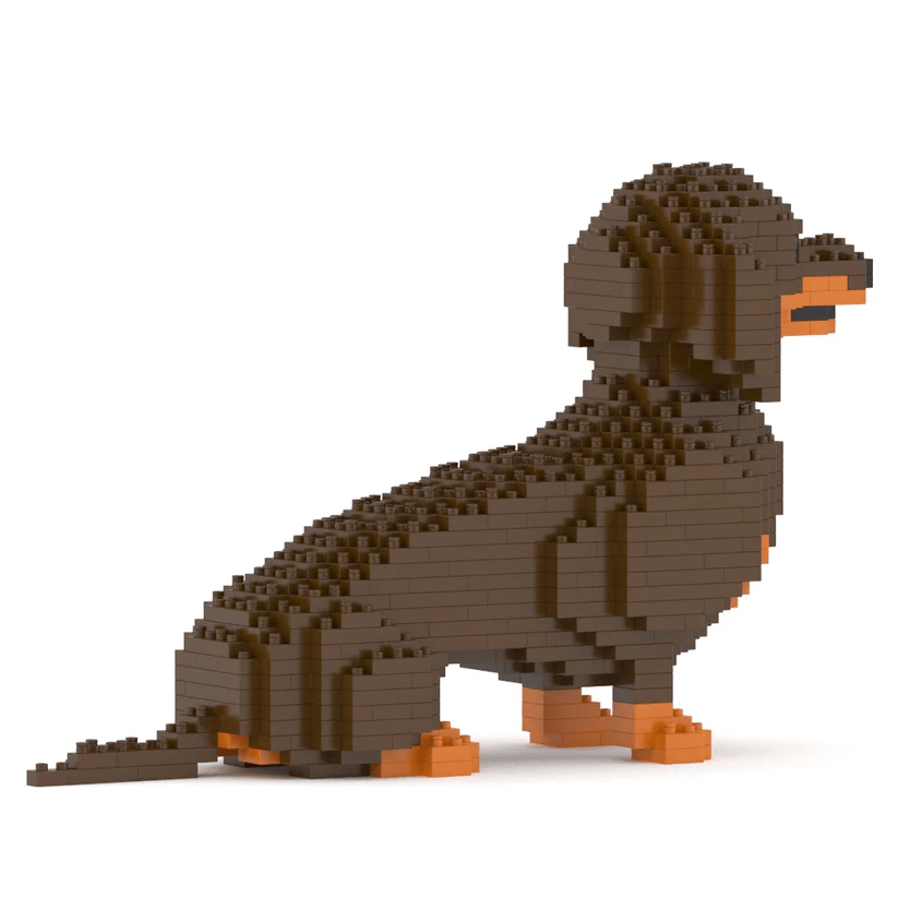 Dachshund
