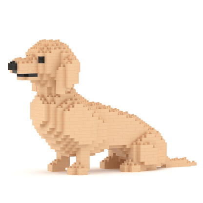 Dachshund