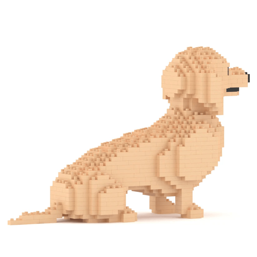 Dachshund