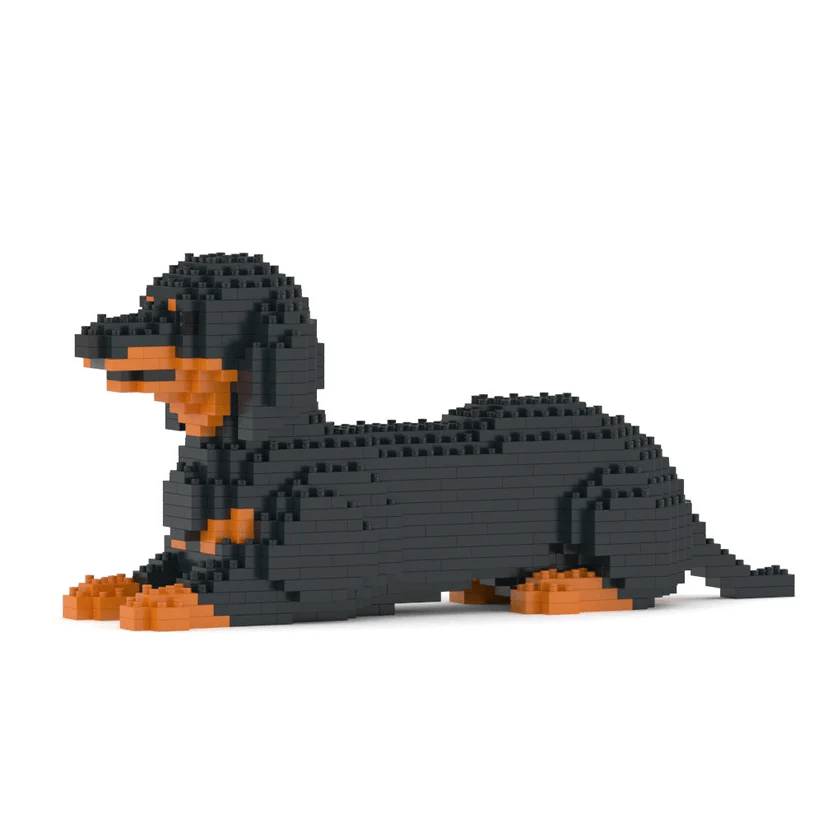 Dachshund