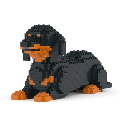 Dachshund