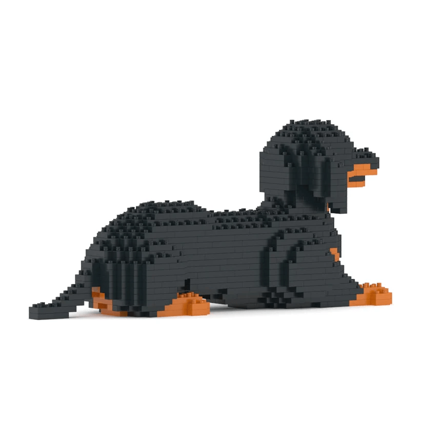 Dachshund