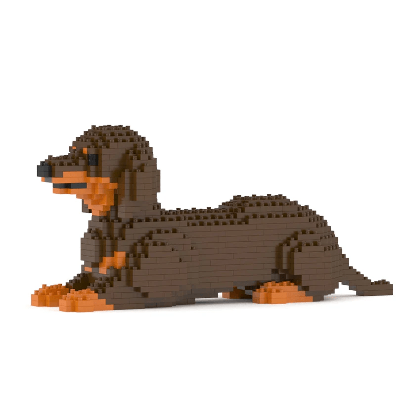 Dachshund