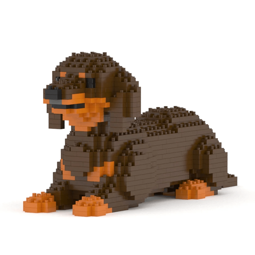 Dachshund