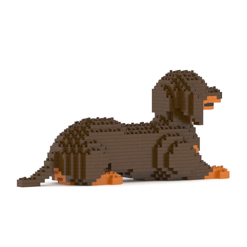 Dachshund