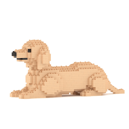 Dachshund