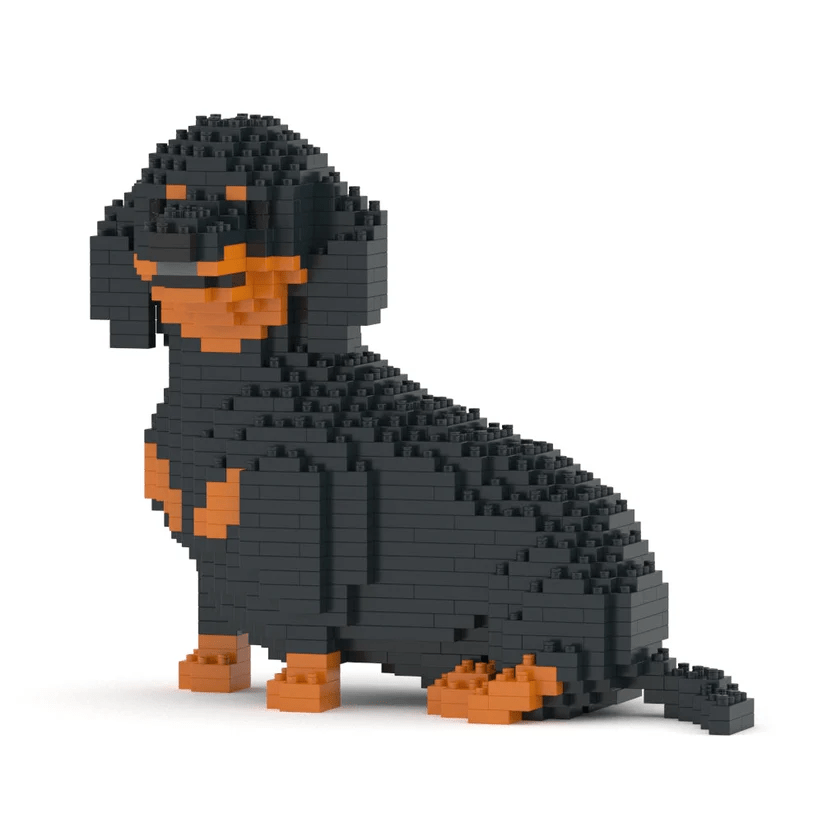 Dachshund