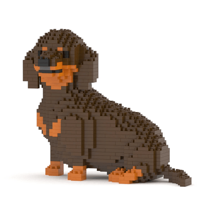 Dachshund