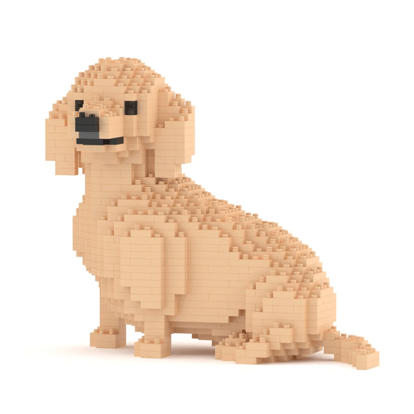 Dachshund