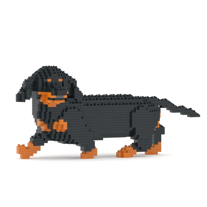 Dachshund